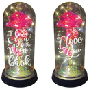 JUMBO GLASS KEEPSAKE 2 PIECES PER DISPLAY